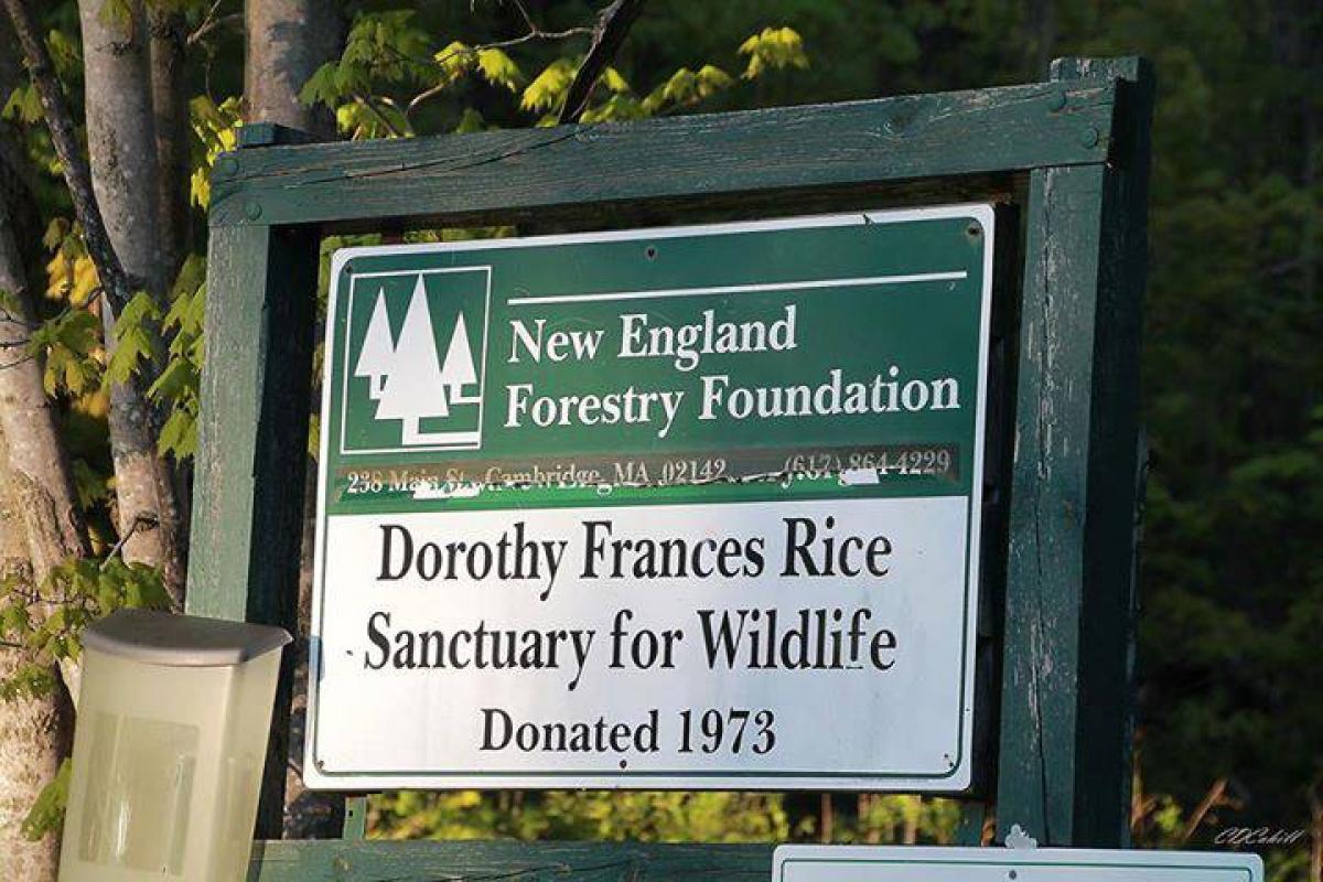 Dorothy Rice Wildlife Sanctuary
